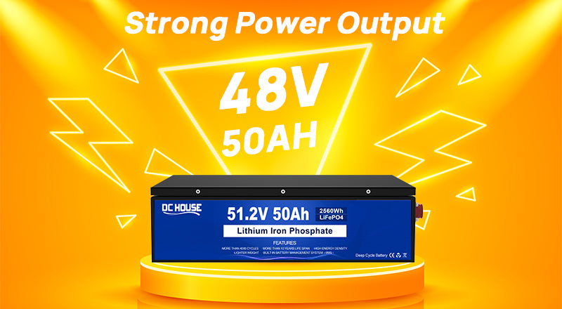 48v 50Ah Deep Cycle LiFePO4 Lithium Battery